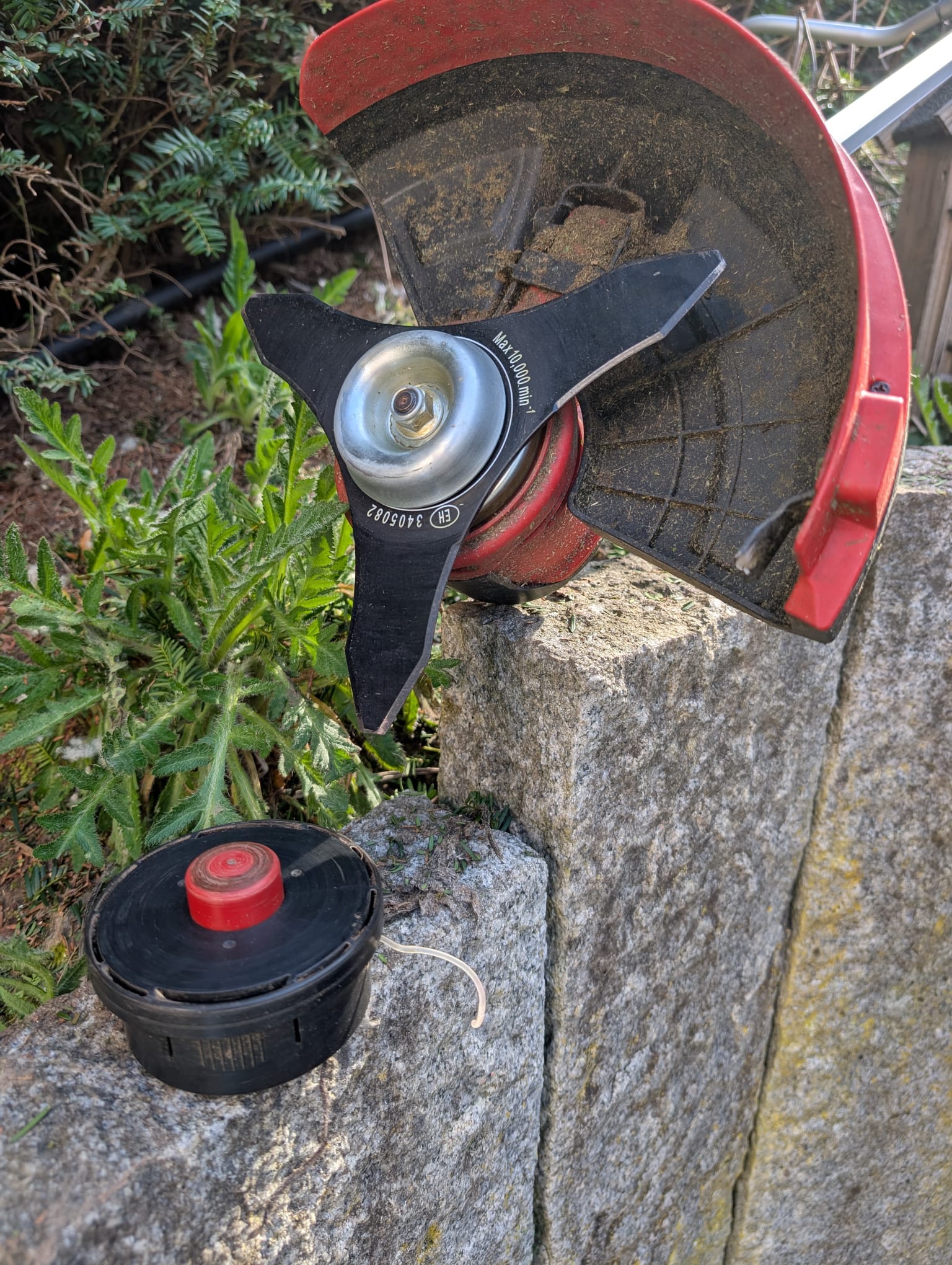 Motorsense / Einhell Agillo Freischneider – Bild 6