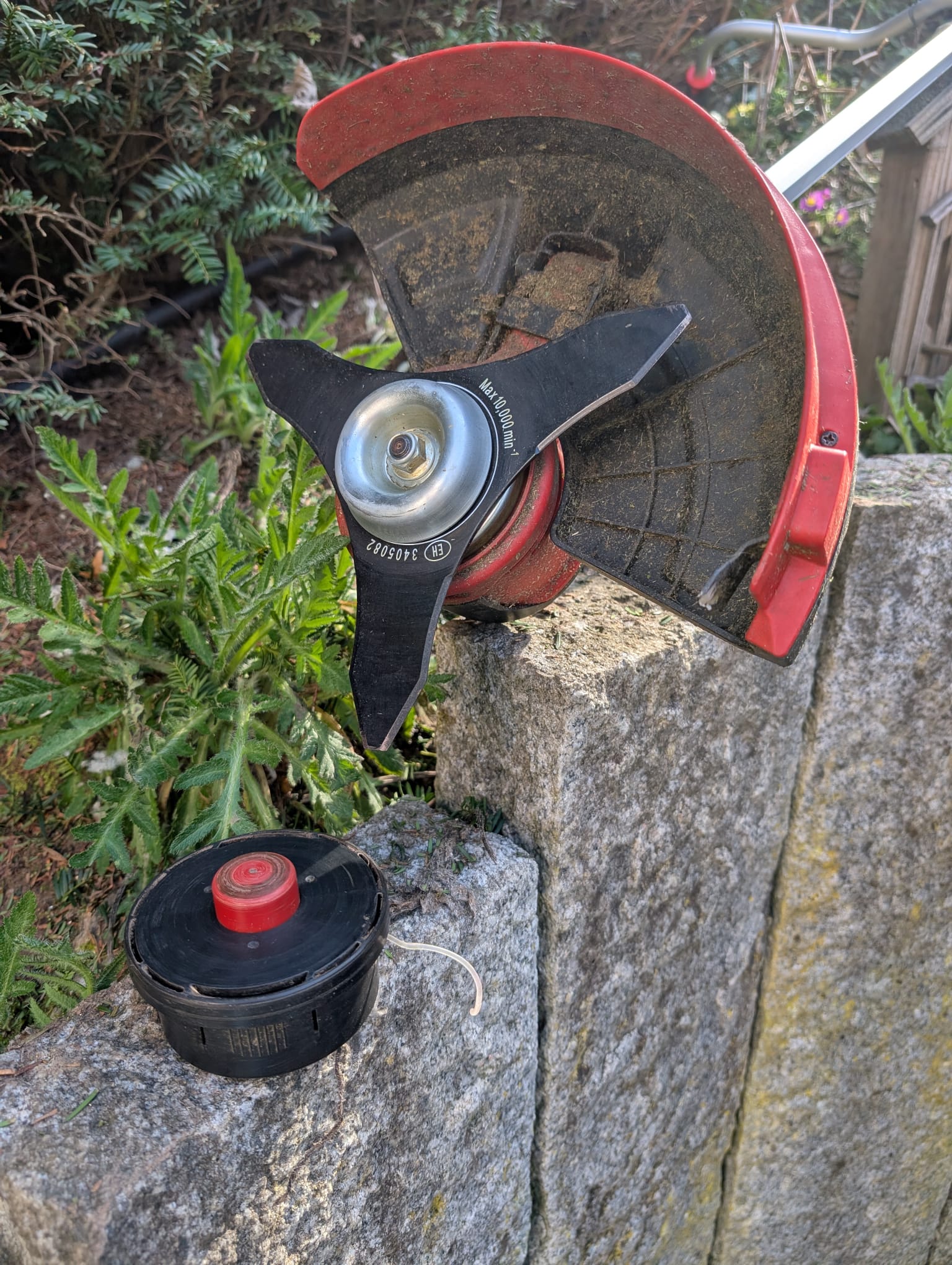 Motorsense / Einhell Agillo Freischneider – Bild 5